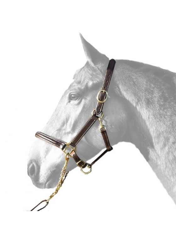 LICOL CHEVAL PRIAM LICOL CHEVAL PRIAM