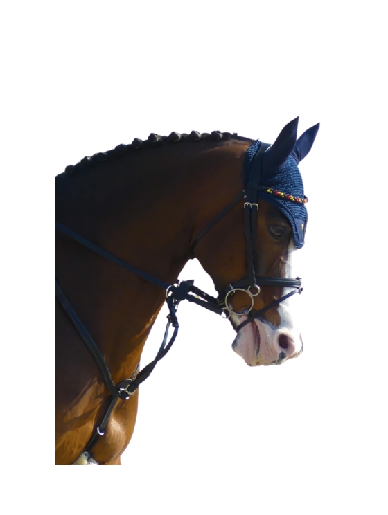 Casque d'Or Navy - FLY VEIL FOR PONIES