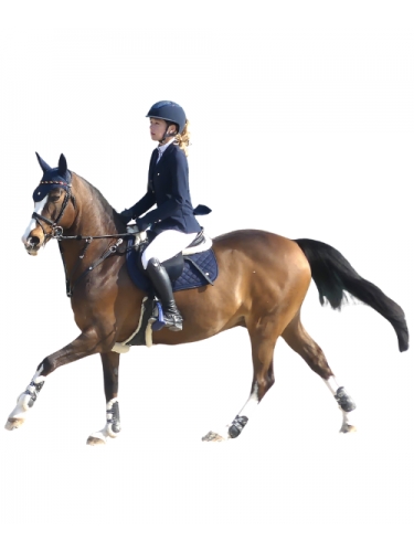 Cavalcade navy saddle pad for ponies - A TISS B