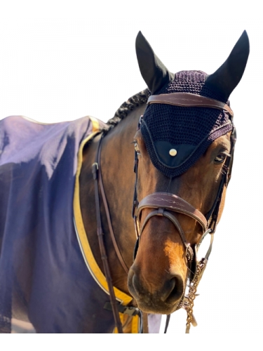 Bonnet noir pour cheval Casque d'Or A TISS B