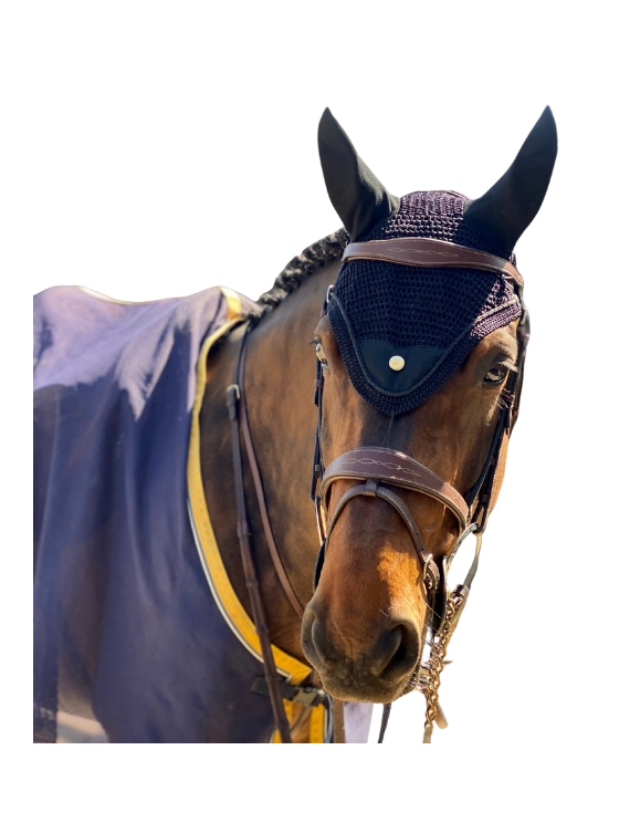 Bonnet noir pour cheval Casque d'Or A TISS B