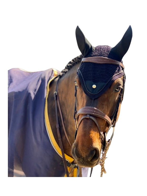 Bonnet noir pour cheval Casque d'Or A TISS B Bonnet noir pour cheval Casque d'Or A TISS B